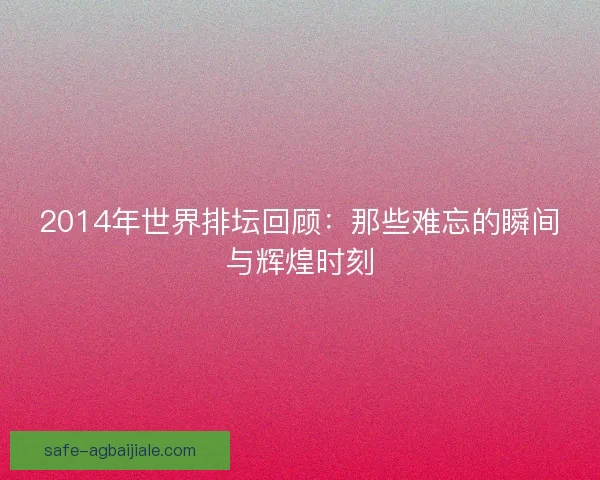 2014年世界排坛回顾：那些难忘的瞬间与辉煌时刻