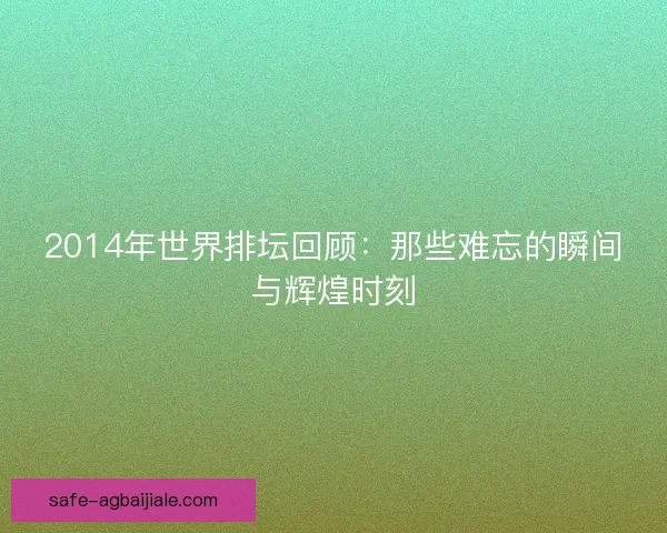 2014年世界排坛回顾：那些难忘的瞬间与辉煌时刻