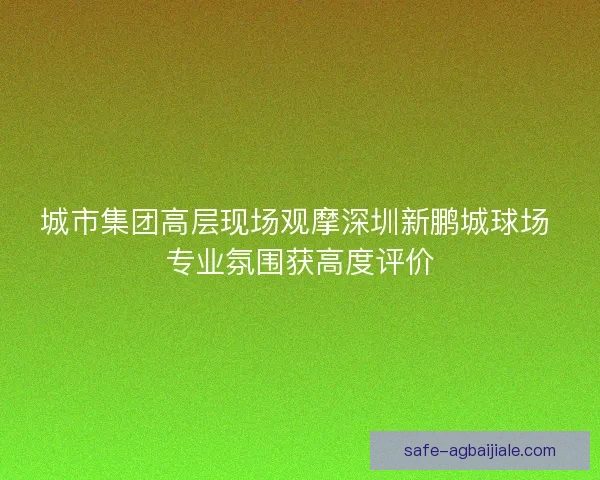 城市集团高层现场观摩深圳新鹏城球场 专业氛围获高度评价
